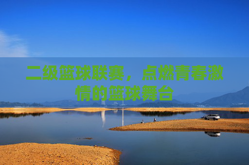 二级篮球联赛，点燃青春激情的篮球舞台