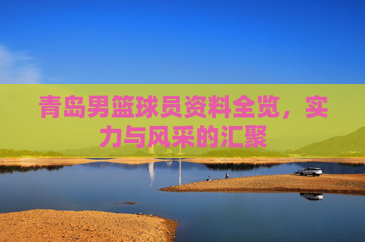 青岛男篮球员资料全览，实力与风采的汇聚