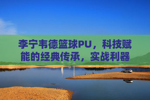 李宁韦德篮球PU,科技赋能的经典传承,实战利器