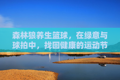 森林狼养生篮球,在绿意与球拍中,找回健康的运动节奏