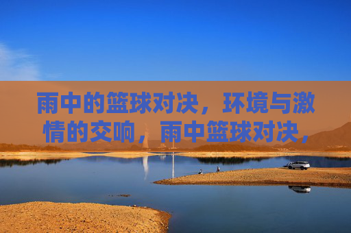 雨中的篮球对决,环境与激情的交响,雨中篮球对决,环境与激情的交响