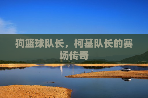 狗篮球队长，柯基队长的赛场传奇