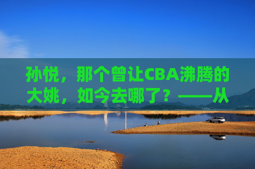 孙悦，那个曾让CBA沸腾的大姚，如今去哪了？——从篮球场到退役后的隐身之路