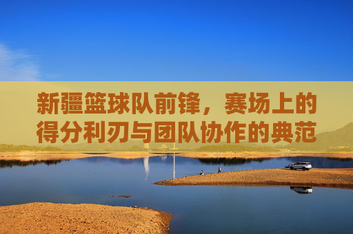 新疆篮球队前锋,赛场上的得分利刃与团队协作的典范