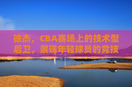 徐杰,CBA赛场上的技术型后卫,展现年轻球员的竞技潜力与成长轨迹,徐杰,CBA技术型后卫的竞技潜力与成长轨迹