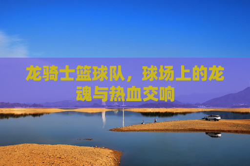 龙骑士篮球队，球场上的龙魂与热血交响