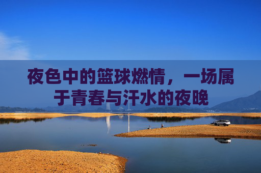 夜色中的篮球燃情，一场属于青春与汗水的夜晚