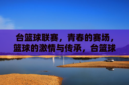 台篮球联赛，青春的赛场，篮球的激情与传承，台篮球联赛，青春的赛场，篮球的激情与传承