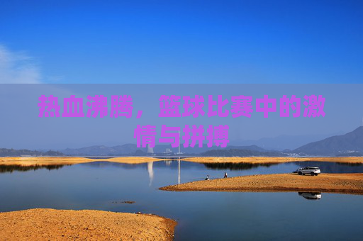热血沸腾,篮球比赛中的激情与拼搏