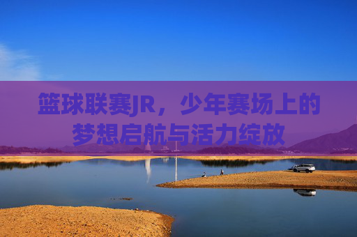 篮球联赛JR，少年赛场上的梦想启航与活力绽放