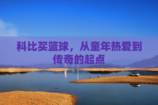 科比买篮球,从童年热爱到传奇的起点