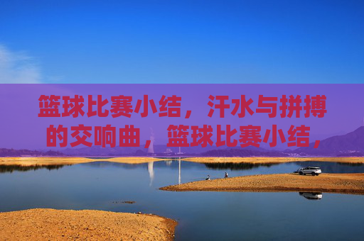 篮球比赛小结，汗水与拼搏的交响曲，篮球比赛小结，汗水与拼搏的交响曲