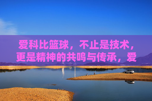 爱科比篮球，不止是技术，更是精神的共鸣与传承，爱科比篮球，不止是技术，更是精神的共鸣与传承