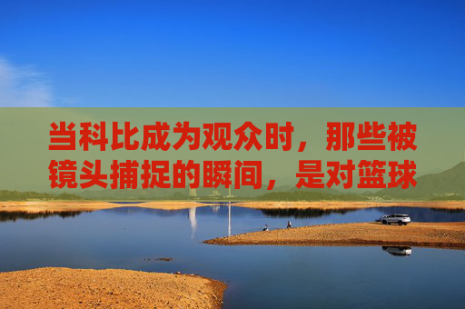 当科比成为观众时，那些被镜头捕捉的瞬间，是对篮球最深沉的致敬，当科比成为观众时，那些被镜头捕捉的瞬间，是对篮球最深沉的致敬