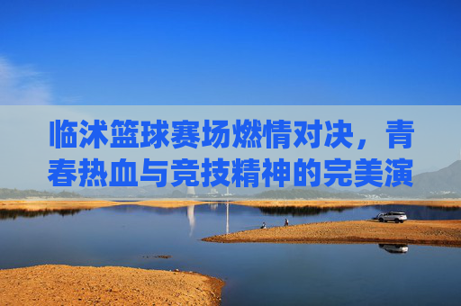 临沭篮球赛场燃情对决，青春热血与竞技精神的完美演绎，临沭篮球赛场燃情对决，青春热血与竞技精神的完美演绎