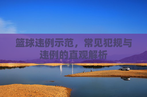 篮球违例示范，常见犯规与违例的直观解析