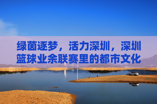 绿茵逐梦，活力深圳，深圳篮球业余联赛里的都市文化图景