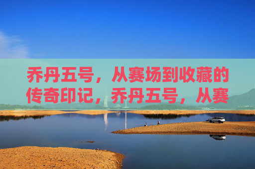 乔丹五号，从赛场到收藏的传奇印记，乔丹五号，从赛场到收藏的传奇印记