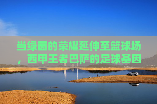 当绿茵的荣耀延伸至篮球场，西甲王者巴萨的足球基因如何滋养篮球传奇，当绿茵的荣耀延伸至篮球场，西甲王者巴萨足球基因如何滋养篮球传奇