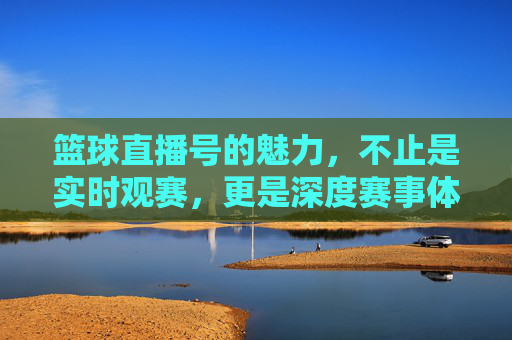 篮球直播号的魅力，不止是实时观赛，更是深度赛事体验的入口，篮球直播号的魅力，不止是实时观赛，更是深度赛事体验的入口