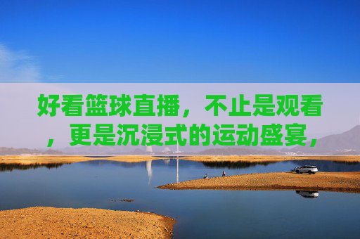 好看篮球直播，不止是观看，更是沉浸式的运动盛宴，沉浸式篮球直播，不止是观看，更是运动盛宴