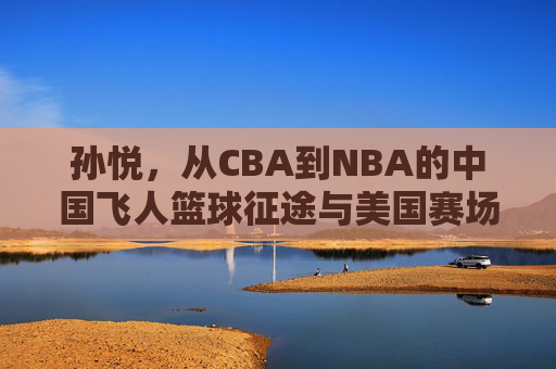 孙悦，从CBA到NBA的中国飞人篮球征途与美国赛场的风云，孙悦，从CBA到NBA的中国飞人篮球征途与美国赛场风云
