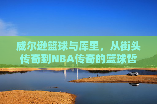 威尔逊篮球与库里，从街头传奇到NBA传奇的篮球哲学，威尔逊篮球与库里，从街头传奇到NBA传奇的篮球哲学