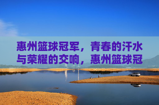 惠州篮球冠军,青春的汗水与荣耀的交响,惠州篮球冠军,青春的汗水与荣耀的交响
