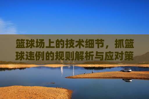 篮球场上的技术细节,抓篮球违例的规则解析与应对策略,篮球场违例规则解析,技术细节与应对策略