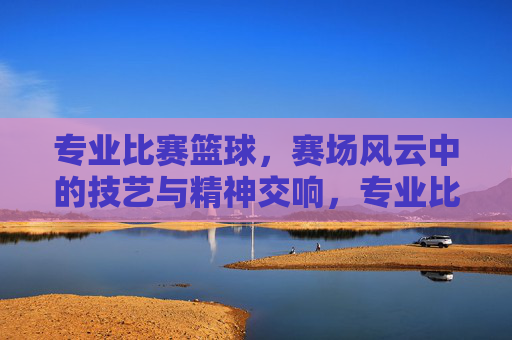 专业比赛篮球，赛场风云中的技艺与精神交响，专业比赛篮球，赛场风云中的技艺与精神交响