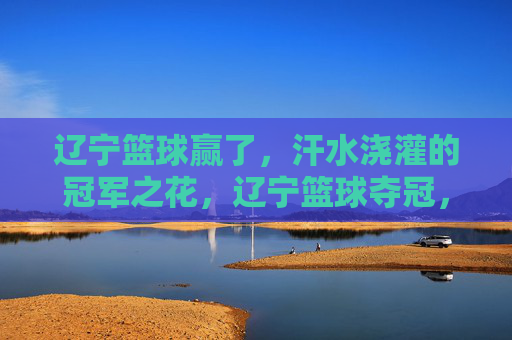 辽宁篮球赢了,汗水浇灌的冠军之花,辽宁篮球夺冠,汗水浇灌的冠军之花