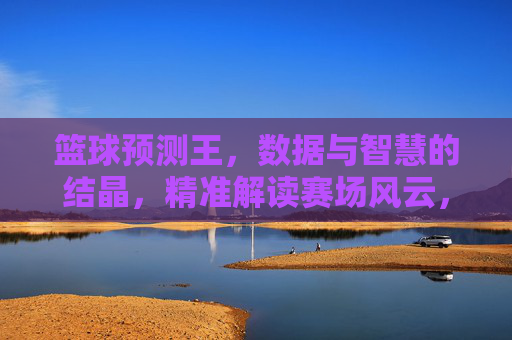 篮球预测王，数据与智慧的结晶，精准解读赛场风云，篮球预测王，数据与智慧的结晶，精准解读赛场风云