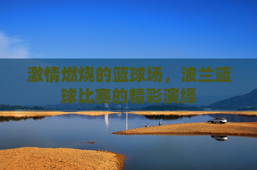 激情燃烧的篮球场，波兰篮球比赛的精彩演绎