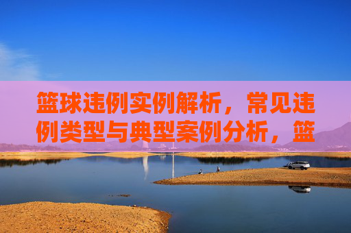 篮球违例实例解析,常见违例类型与典型案例分析,篮球违例实例解析,常见类型与典型案例分析