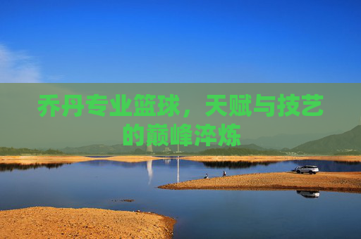 乔丹专业篮球，天赋与技艺的巅峰淬炼