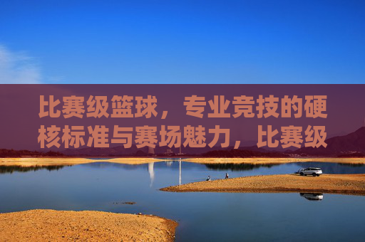 比赛级篮球,专业竞技的硬核标准与赛场魅力,比赛级篮球,专业竞技的硬核标准与赛场魅力