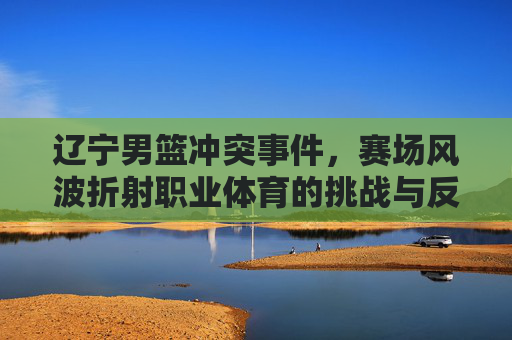 辽宁男篮冲突事件,赛场风波折射职业体育的挑战与反思