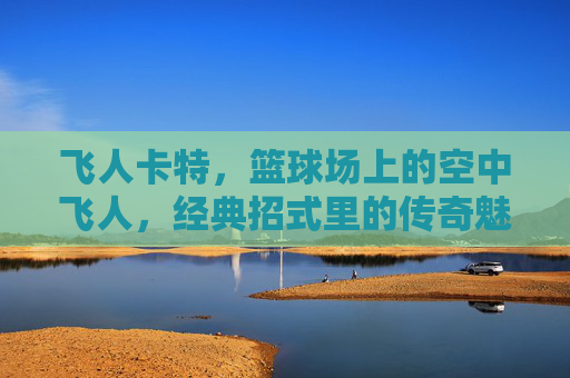 飞人卡特，篮球场上的空中飞人，经典招式里的传奇魅力，飞人卡特，篮球场上的空中飞人，经典招式里的传奇魅力