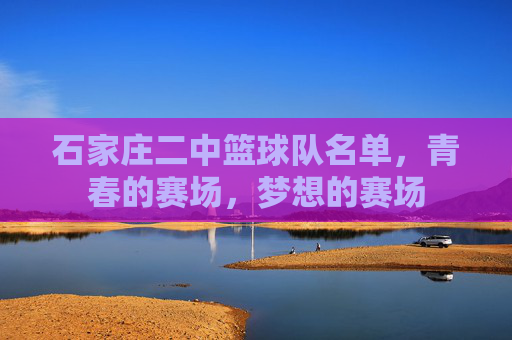 石家庄二中篮球队名单，青春的赛场，梦想的赛场