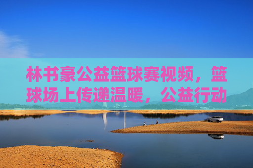 林书豪公益篮球赛视频,篮球场上传递温暖,公益行动彰显大爱