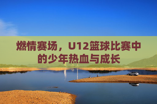 燃情赛场,U12篮球比赛中的少年热血与成长