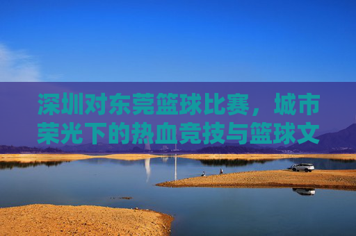 深圳对东莞篮球比赛,城市荣光下的热血竞技与篮球文化交融