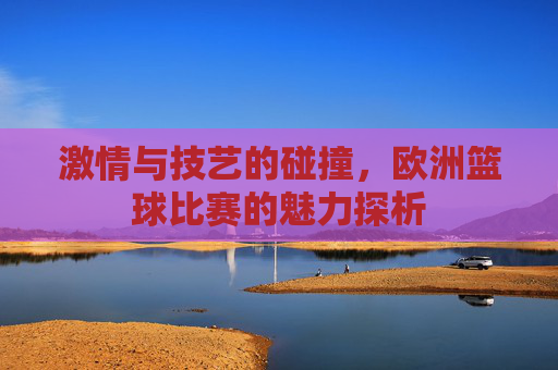 激情与技艺的碰撞,欧洲篮球比赛的魅力探析