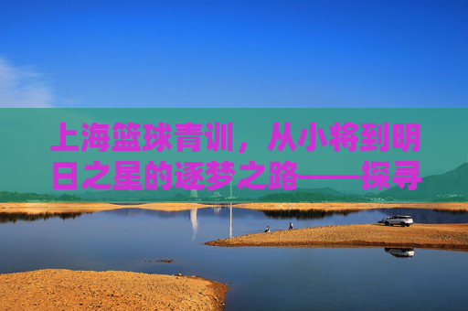 上海篮球青训，从小将到明日之星的逐梦之路——探寻城市篮球发展的青春密码