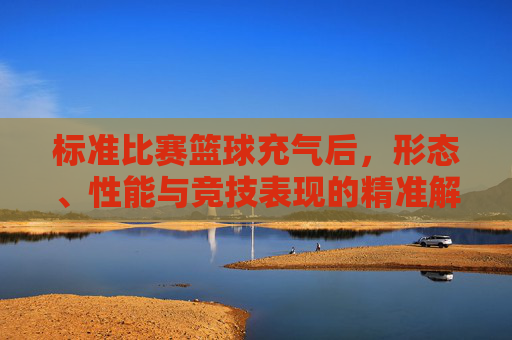 标准比赛篮球充气后,形态、性能与竞技表现的精准解析
