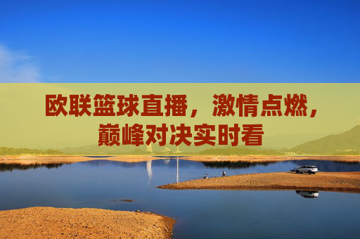 欧联篮球直播,激情点燃,巅峰对决实时看