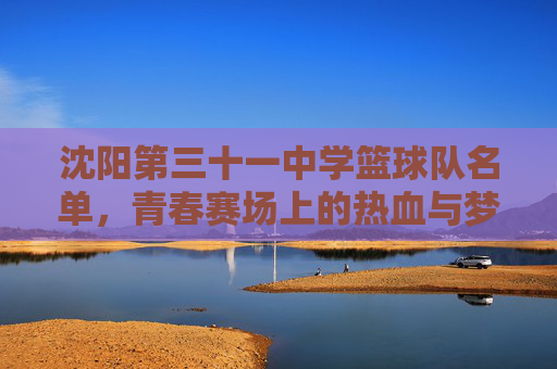 沈阳第三十一中学篮球队名单,青春赛场上的热血与梦想