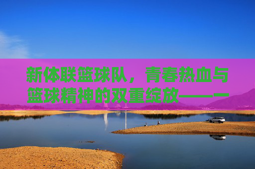 新体联篮球队，青春热血与篮球精神的双重绽放——一支以篮球为纽带，凝聚青春力量的运动团队简介
