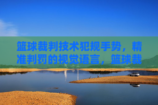 篮球裁判技术犯规手势，精准判罚的视觉语言，篮球裁判技术犯规手势，精准判罚的视觉语言
