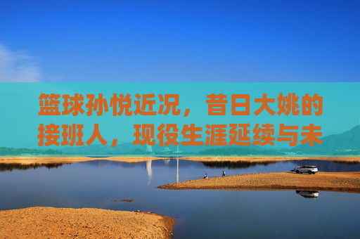 篮球孙悦近况，昔日大姚的接班人，现役生涯延续与未来展望